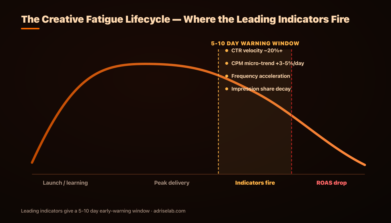 Creative fatigue lifecycle curve showing where the four leading indicators fire before ROAS drops